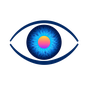 Logo Nice Vision